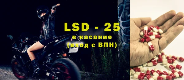 ГАЛЛЮЦИНОГЕННЫЕ ГРИБЫ Липки