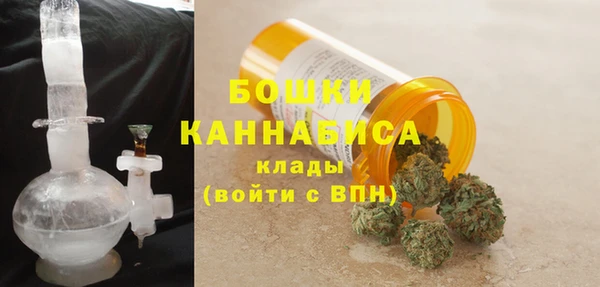 ГАЛЛЮЦИНОГЕННЫЕ ГРИБЫ Липки