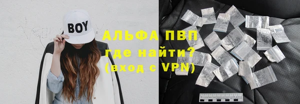 прущие грибы Березники