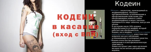 ГАЛЛЮЦИНОГЕННЫЕ ГРИБЫ Липки