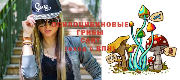 ГАЛЛЮЦИНОГЕННЫЕ ГРИБЫ Липки