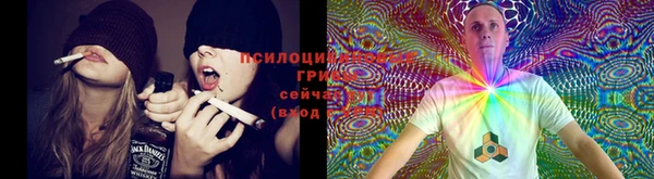 мет Лиски